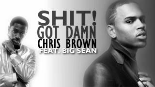 Shit, Got Damn - Chris Brown feat. Big Sean