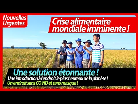 [French 불어] Ferme Oasis de Doalnara | Une introduction à l'endroit le plus heureux de la planète !