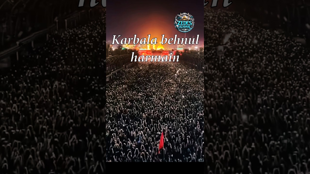 Karbala behnul harmain ||||||||#shorts #youtubeshorts #zedesazadari