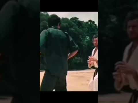 No. 1 Good Guy In Classic Martial Arts Movies