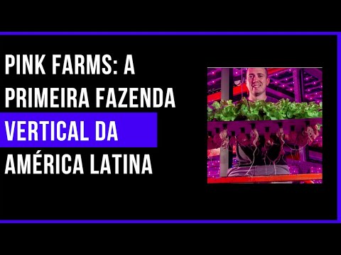 4.0 no Campo: Pink Farms, a primeira fazenda vertical da América Latina