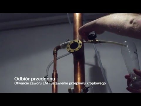 Dlaczego boli kości na nogach palców Szczep łuk
