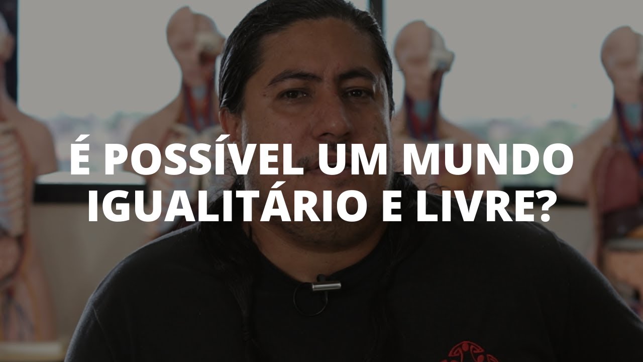LIBERDADE E IGUALDADE: por que são princípios antagônicos?