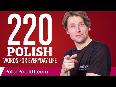 220 Polish Words for Everyday Life - Basic Vocabulary #11