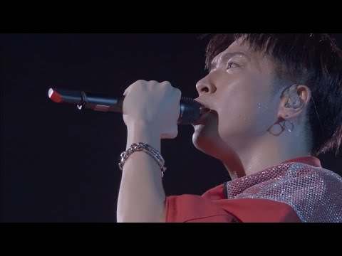 ソナーポケット／「好きだよ。～100回の後悔～」＠日本武道館（Live Performance ver）