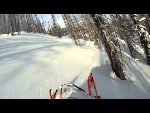 Deadly Rip Stadler and I