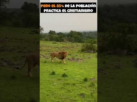 Can you Guess the Country here❓ Travel the World & LEARN SPANISH❗