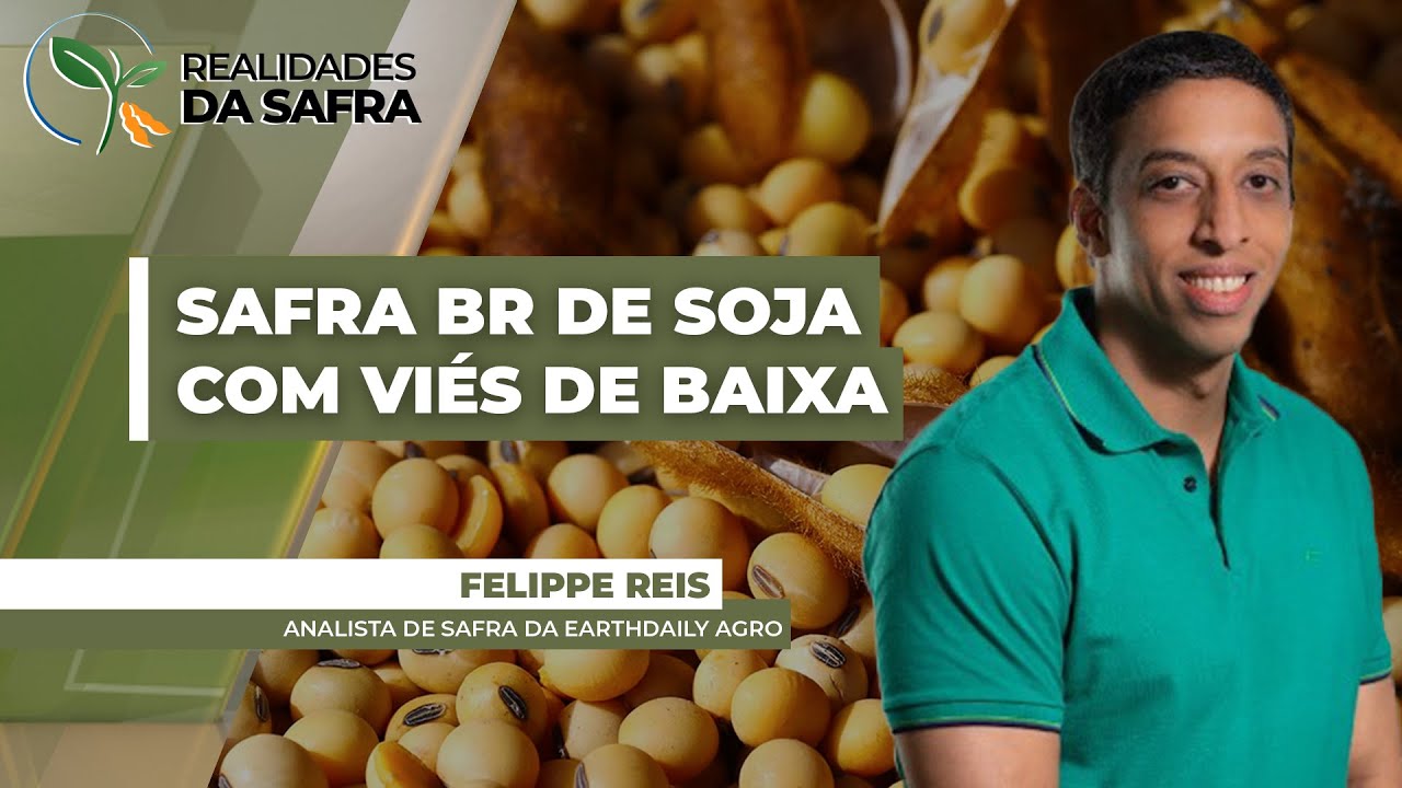 Safra de soja no Brasil segue prevista em 170,8 milhões de toneladas, mas tem viés de baixa