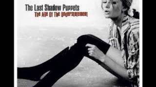 I Don&#39;t like You Anymore The Last Shadow Puppets