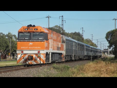NR 31 on the 3MA5 Overland! S/G Trains in Spotswood.