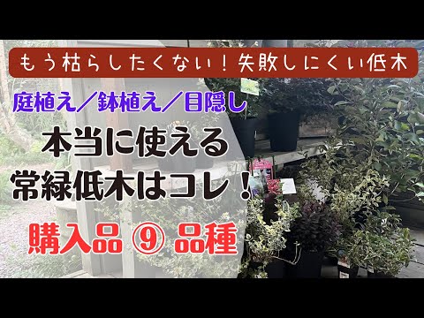 初霜から庭を守るための効果的で安価な 4 つの方法!  庭園