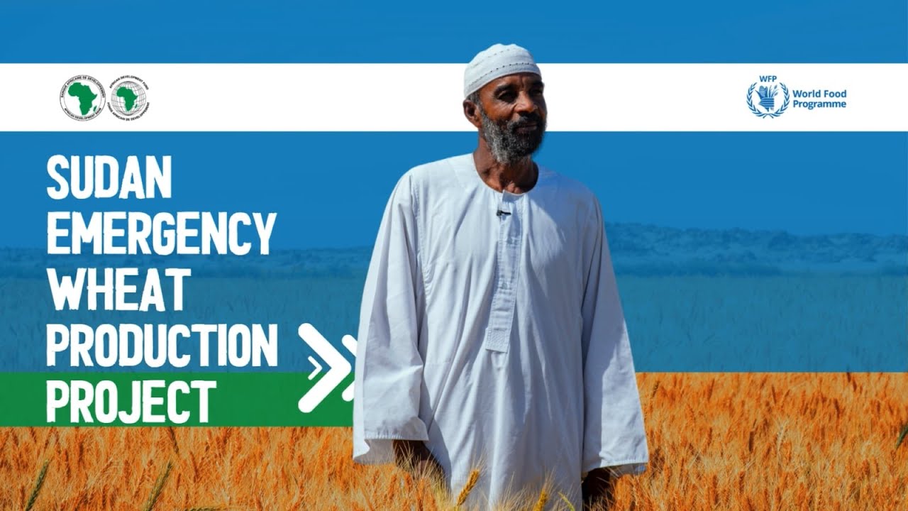 Sudan Emergency Wheat Production Project Phase I - Highlight video