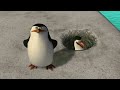 Nickelodeon Penguins Of Madagascar Animation Test 2007