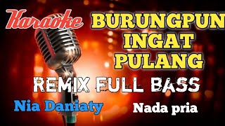 Download lagu Burung ingat pulang karaoke remix nada pria mp3 Download lagu Burung ingat pulang karaoke remix nada pria mp3