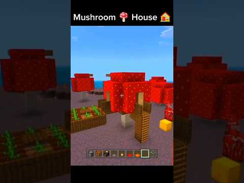 Diamond Gamerz Builds EPIC Mushroom House!