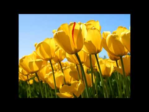 Katri Helena-Mä rytmisi tunnen