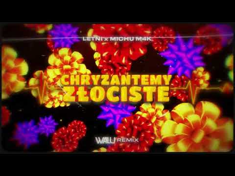 LETNI x MICHU M4K - CHRYZANTEMY ZŁOCISTE  (DJ WALU 2024 REMIX)
