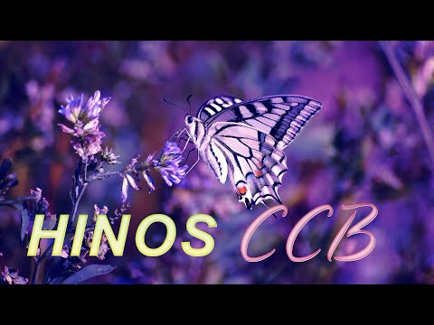 HINO CCB 2021 🌻 MELHORES HINOS CCB MAIS TOCADAS 🌻 PARA ORAÇÃO DO DIA@