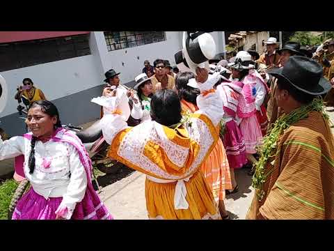 Carnaval cachorino 2019 - Ttasta Poyoncco