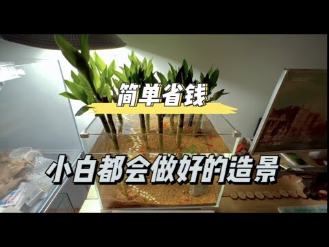 唐竹造景