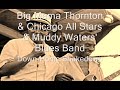 Big Mama Thornton-Down Home Shakedown