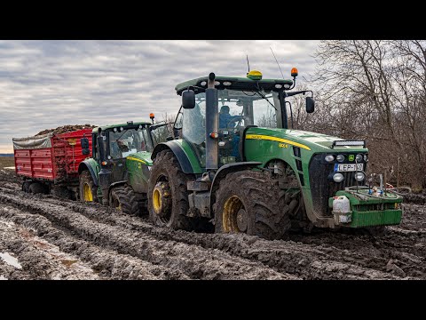 Sugar Beet Transport in MUD "2024" 20x John Deere 4x Claas