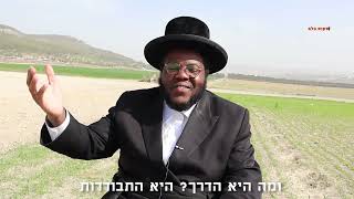 הראפר ניסים בלאק: לדבר עם ה' זה להתרומם ולחיות מעל המציאות. NISSIM BLACK:rise and live above reality