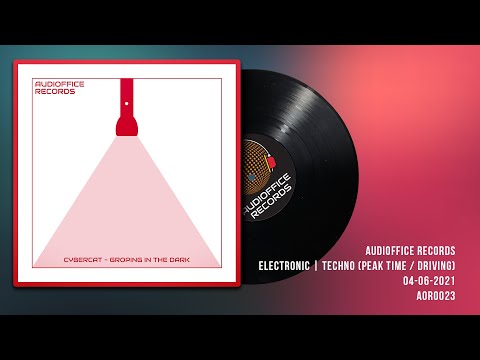 Cybercat -  Groping in the Dark