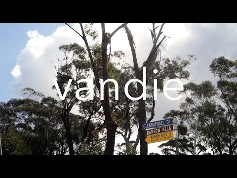 another bloody vandie // Nat James