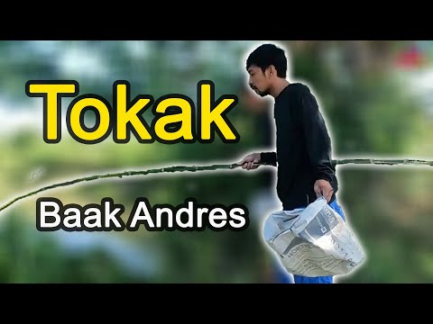 Tokak - Baak Andres