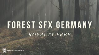 MORNING FOREST SOUNDS EFFECTS - GERMANY | BIRD CHIRPING, CROWS &amp; SOFT WIND SOUNDS! ROYALTY FREE