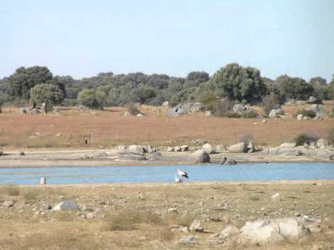 Luis de Freitas Branco - Suite Alentejana no.1 (Fandango)