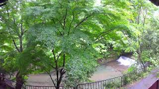 清滝川（嵯峨清滝町）