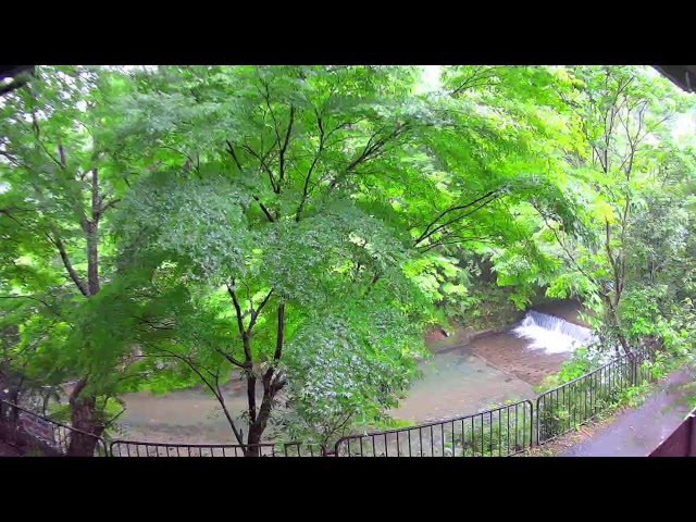 清滝川（嵯峨清滝町）