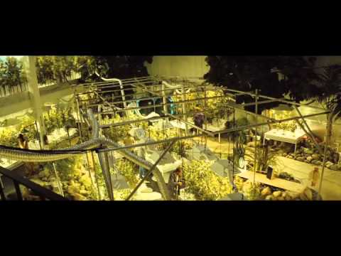 Savages Featurette: Welcome to the Grow House