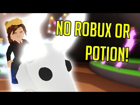 How to get a RIDE or FLY pet In Adopt Me! NO ROBUX INVOLVED!