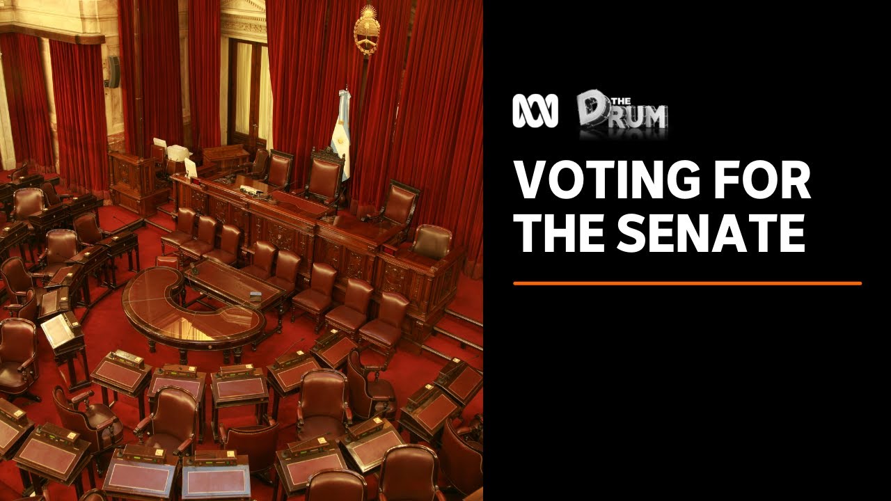 How does voting for the Senate work? | The Drum | ABC News