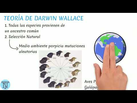 NEPTUR GT - Admisión IPN, UNAM