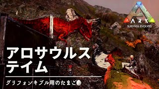Ark モバイル キブル Watch Hd Mp4 Videos Download Free