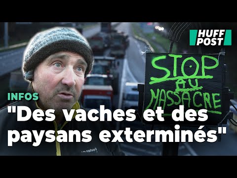 Des agriculteurs protestent contre le protocole de la dermatose en bloquant plusieurs axes routiers