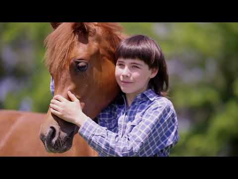 Remember to Smile 😃 - Arabian Insider x Menton Arabian Horse Show 2023