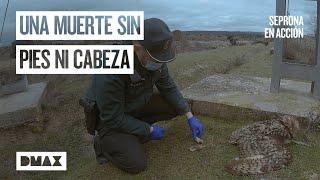 Thumbnail del capítulo