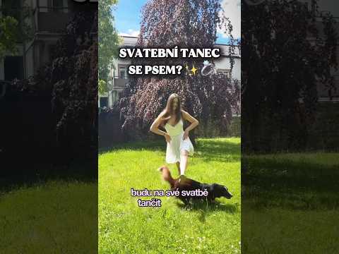 Svatební tanec se psem?❤️🤭