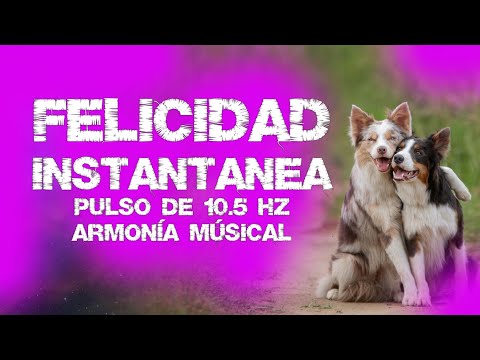 9 MINUTOS PARA CAMBIAR TU ESTADO MENTAL A FELICIDAD POSITIVA Y ATRAER BUENA SUERTE EN TODAS PARTES