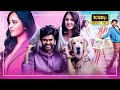Anushka Shetty Naveen Polishetty Latest Tamil Blockbuster Dubbed Full Movie Latest Tamil Movies