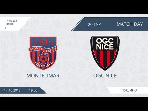 AFL18. France. Ligue 1. Day 20. Montelimar - OGC Nice.