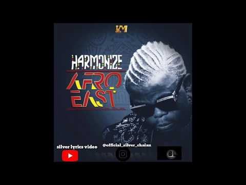 harmonize ft lady jay dee-wife lyrics video