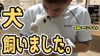 関優太「犬飼い始めました」【2022/8/18】