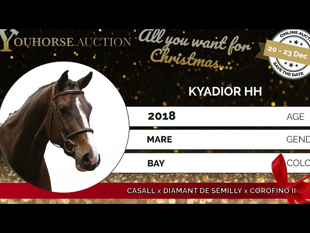 Kyadior Trainingsvideo