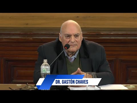 Dr. Gastón Chavez "El rol del Derecho Penal en la sociedad contemporánea"